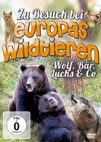 Zu Besuch Bei Europas Wildtieren