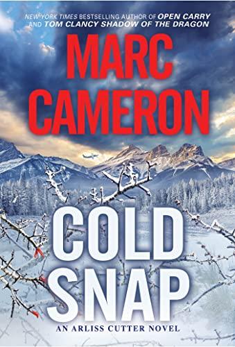 Cold Snap: An Action Packed Novel of Suspense (An Arliss Cutter Novel, Band 4)