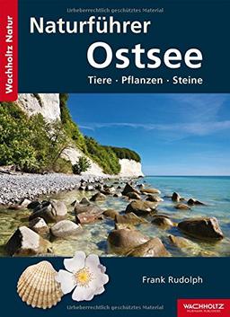 Naturführer Ostsee: Tiere, Pflanzen, Steine