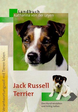 Jack Russell Terrier