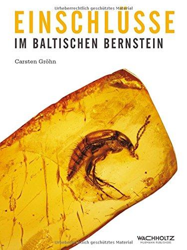 Einschlüsse im baltischen Bernstein