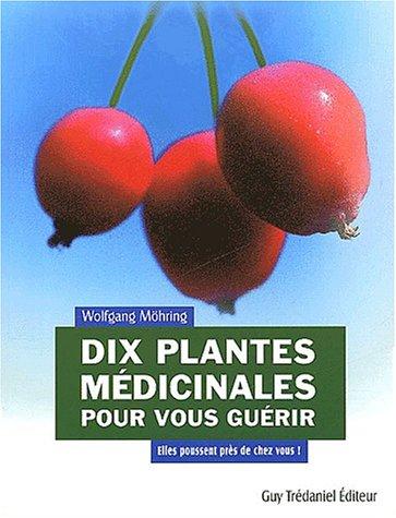 Dix plantes médicinales pour vous guérir : elles poussent près de chez vous !