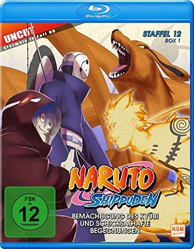 Naruto Shippuden - Staffel 12 - Box 1 (Episoden 463-480 - Uncut & Erstmals in Full HD!) [Blu-ray]