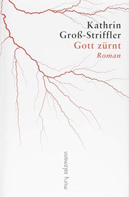 Gott zürnt: Roman