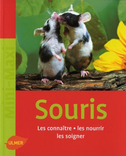 Souris : les connaître, les nourrir, les soigner