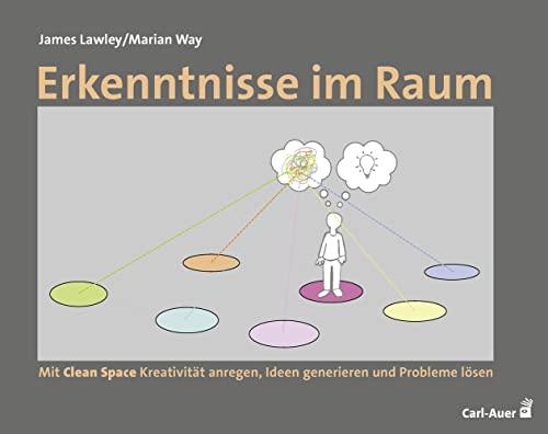 Erkenntnisse im Raum: Mit Clean Space Kreativität anregen, Ideen generieren und Probleme lösen (Beratung, Coaching, Supervision)