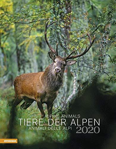 Tiere der Alpen 2020 30x38,5cm