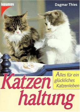 Katzenhaltung, Katzenpflege