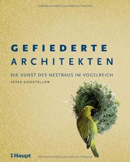 Gefiederte Architekten: Die Kunst des Nestbaus im Vogelreich