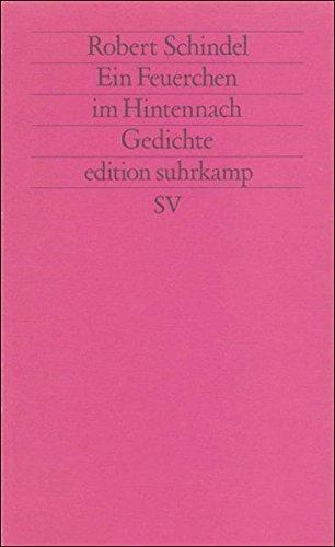 Ein Feuerchen im Hintennach: Gedichte 1986-1991 (edition suhrkamp)