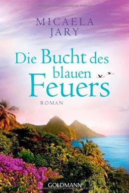 Die Bucht des blauen Feuers: Roman