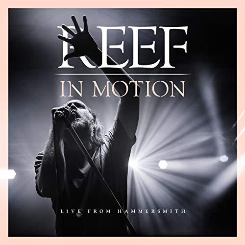 Reef - In Motion (CD & Blu-ray)