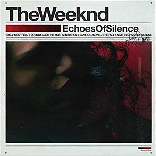 Echoes of Silence