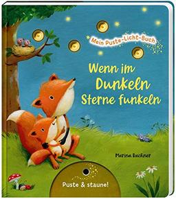 Wenn im Dunkeln Sterne funkeln: | Gute-Nacht-Buch mit Puste-Licht und LED-Lämpchen, Mitmachbuch für Kinder ab 18 Monaten (Mein Puste-Licht-Buch)