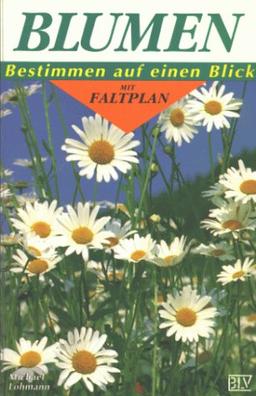 Blumen. Bestimmen auf einen Blick mit Faltplan