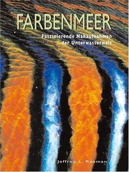 Farbenmeer: Faszinierende Nahaufnahmen der Unterwasserwelt