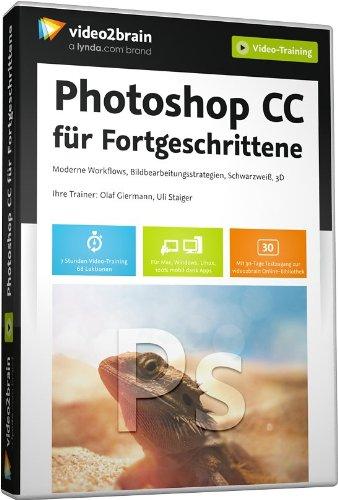 Photoshop CC für Fortgeschrittne -  Moderne Workflows, Bildbearbeitungsstrategien, Schwarzweiß, 3D