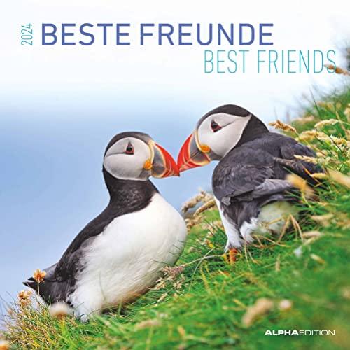 Beste Freunde 2024 - Broschürenkalender 30x30 cm (30x60 geöffnet) - Kalender mit Platz für Notizen - Best Friends - Bildkalender - Wandkalender