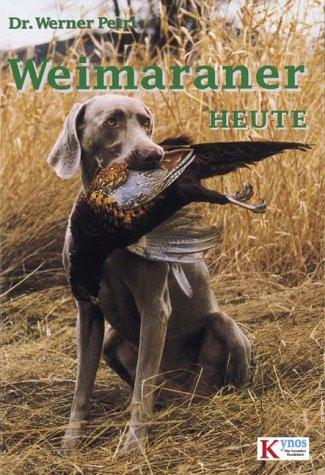 Weimaraner heute