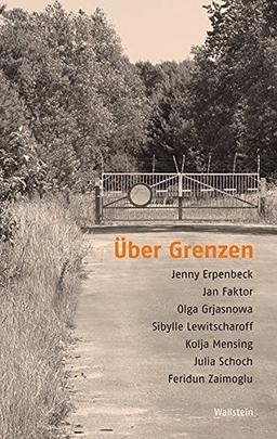 Über Grenzen: Texte und Lektüren der deutschsprachigen Gegenwartsliteratur (Poiesis. Standpunkte zur Gegenwartsliteratur)