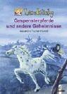 Gespensterpferde und andere Geheimnisse