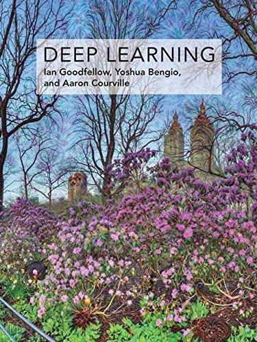 Deep Learning (Adaptive Computation and Machine Learning)