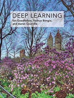 Deep Learning (Adaptive Computation and Machine Learning)