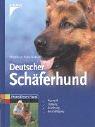 Deutscher Schäferhund