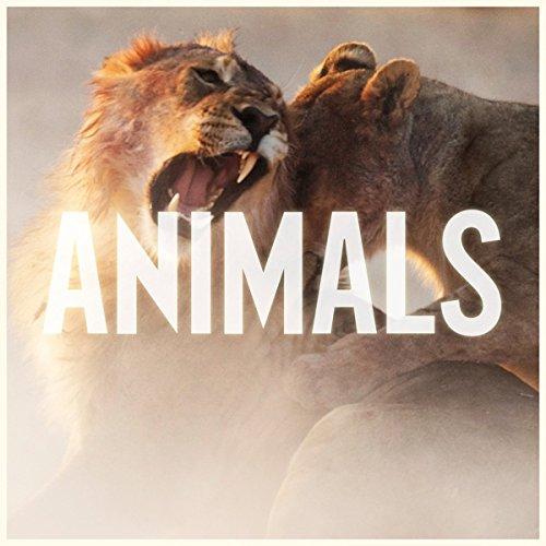 Animals (2-Track)