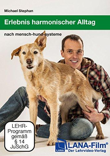 Erlebnis harmonischer Alltag: nach mensch-hund-systeme