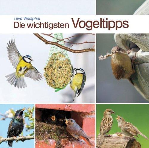 Die Wichtigsten Vogeltipps