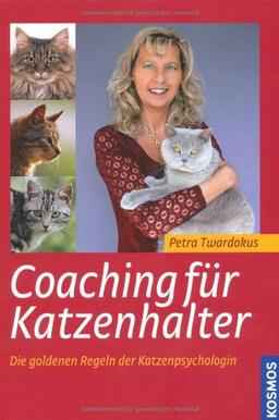 Coaching für Katzenhalter: Die goldenen Regeln der Katzenpsychologin