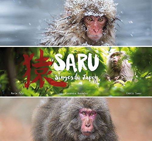 Saru : singes du Japon