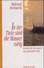 In der Tiefe sind die Wasser ruhig: Impulse für ein Leben aus spiritueller Tiefe