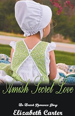 Amish Secret Love