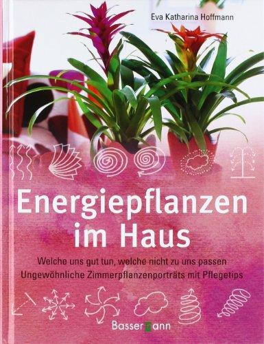 Energiepflanzen im Haus: Welche uns gut tun, welche nicht zu uns passen - Ungewöhnliche Zimmerpflanzenporträts mit Pflegetips