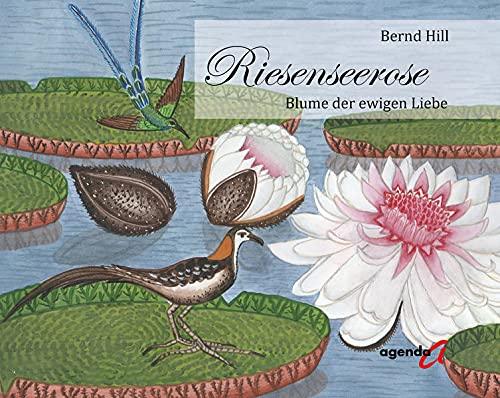 Riesenseerose: Blume der ewigen Liebe