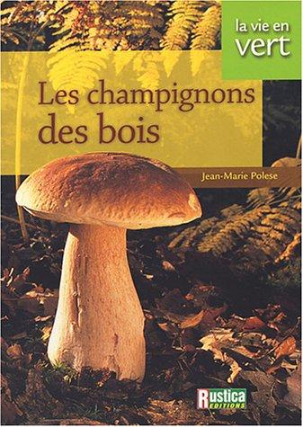 Les champignons des bois