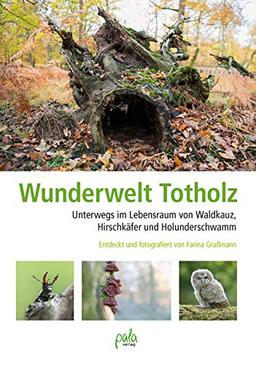 Wunderwelt Totholz: Unterwegs im Lebensraum von Waldkauz, Hirschkäfer und Holunderschwamm Entdeckt und fotografiert von Farina Graßmann