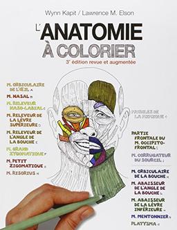 L'anatomie à colorier