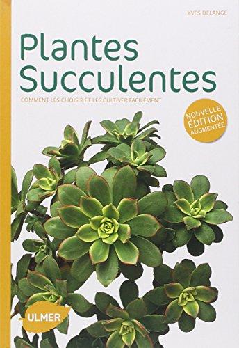 Plantes succulentes : comment les choisir et les cultiver facilement