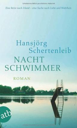 Nachtschwimmer: Roman