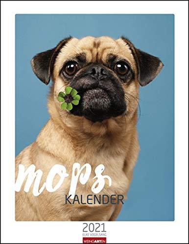 Mops Kalender 2021