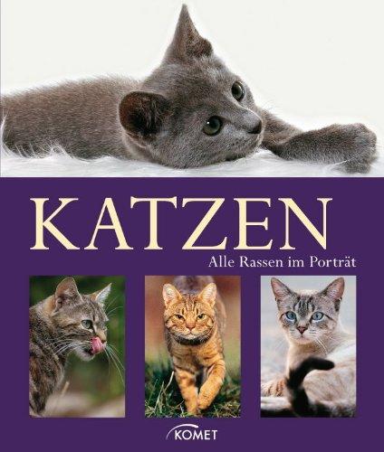 Katzen: Alle Rassen im Porträt