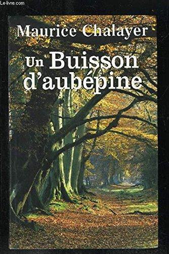 UN BUISSON D AUBEPINE.