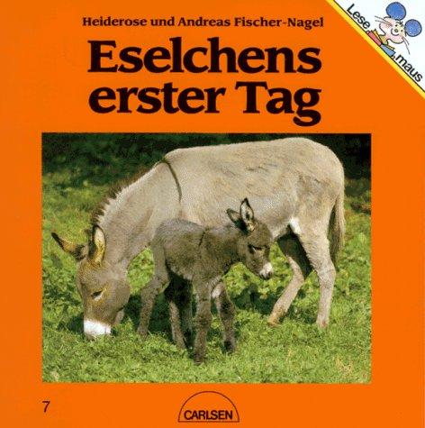 Eselchens erster Tag