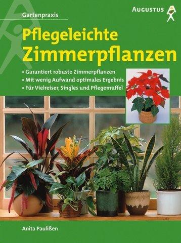 Pflegeleichte Zimmerpflanzen