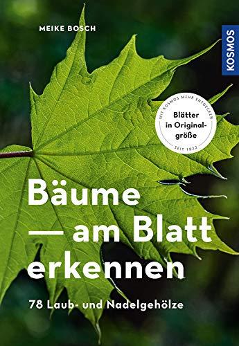 Bäume am Blatt erkennen