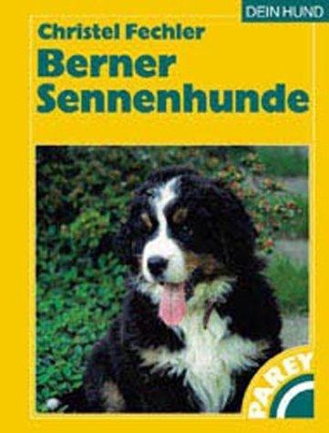 Berner Sennenhunde