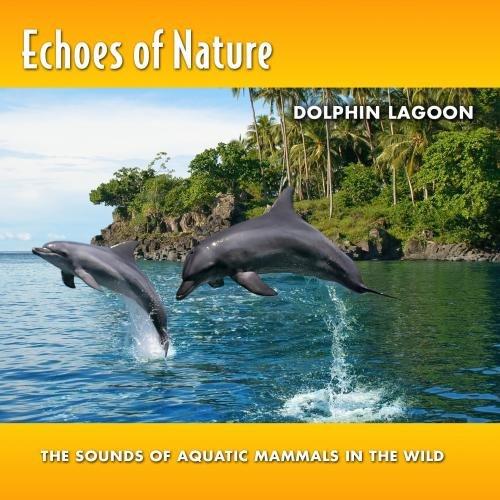 Echoes Of Nature: Dolphin Lagoon